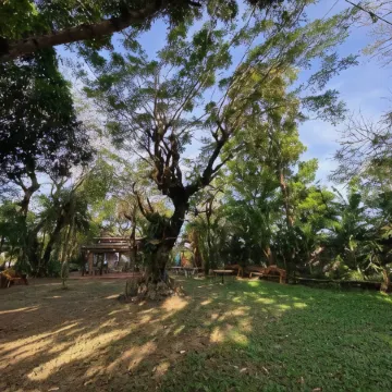 Rio Vista Bed and Breakfast