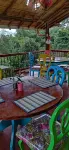 Finca San Miguel Filandia - Homestay