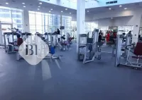 히드라의 블룸필즈 이그제큐티브 스튜디오 - 2성급