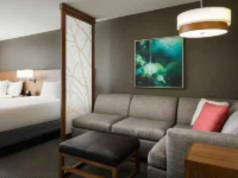 ハイアット プレイス カンザス シティ / レネックサ シティ センター レネックサのホテル