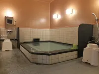Hotel Famitic Nikko Station - Varme kilder