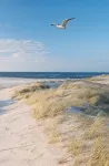 Sea You Hotel Noordwijk