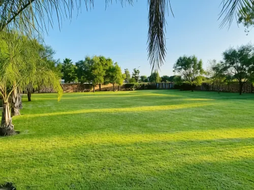 The Hills Guest House Hotels in Amajuba