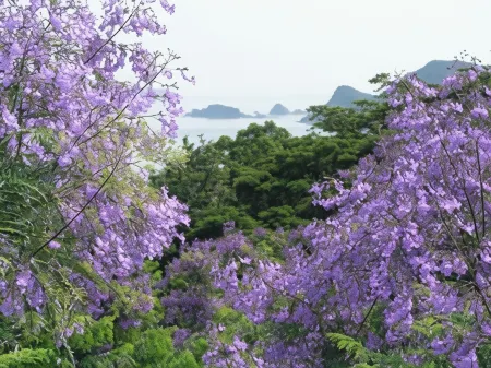 Business Hotel Surfin Отели рядом со станцией JR Aburatsu station