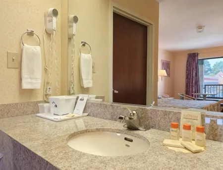 Brentwood Inn & Suites Отели рядом с достопримечательностью «Riddick's Folly House Museum»