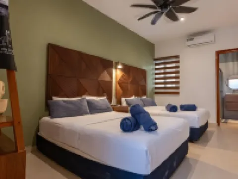 Alma de Zorro Hotels in Bacalar Municipality