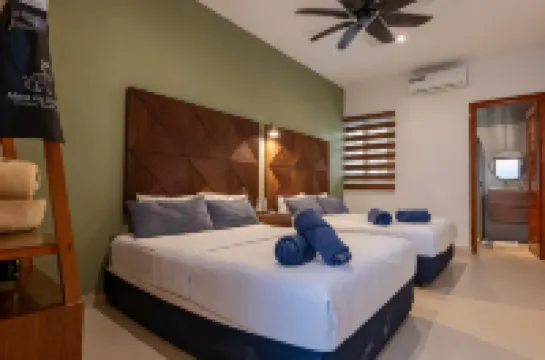 Alma de Zorro Hotels in Bacalar Municipality