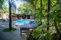 Victoria Falls Backpackers Zambia - bar