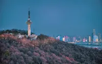 Changsha IFS •  International Finance Center Exotic Impression Hotel (Wuyi Square Branch) - غرفة مطلة على الجبل