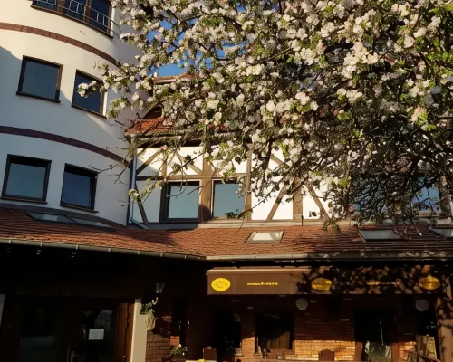 Amadeus Hotel Zielona Góra Các khách sạn ở Zielona Gora
