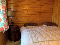 Cabin 1 on the Kenai River! - Chalets