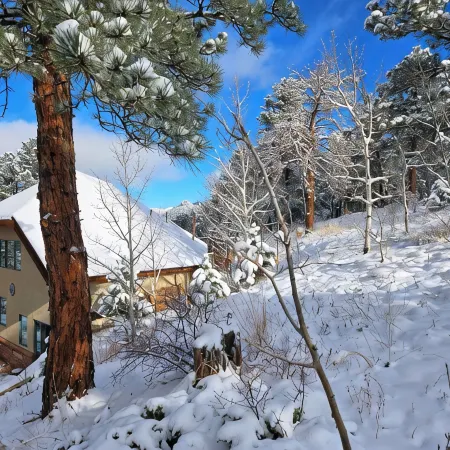 Moose Manor – Antlers, Aspens, and Alpine Peace in the Heart of the Rockies