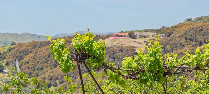 Beverly's Retreat Các khách sạn ở Fallbrook