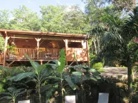 New! Villas 2ch forest, sea view, air conditioning, very quiet pool for 2 to 4 people