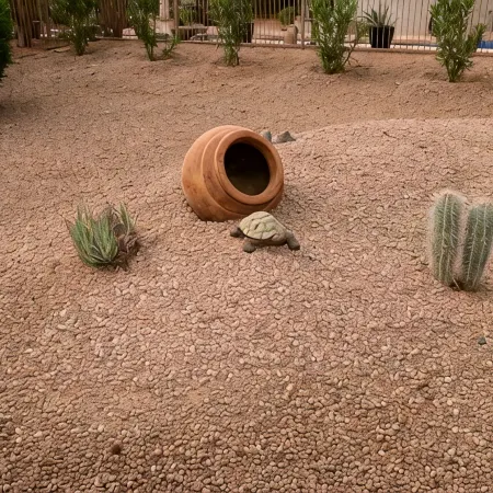 It’s AZ Time...Relax in a private heated pool, Golf, Spring Training, Hiking!