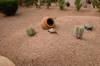It’s AZ Time...Relax in a private heated pool, Golf, Spring Training, Hiking!
