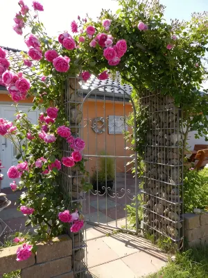 House Ostseemuschel, 1 minute walk to the beach, 2 terraces