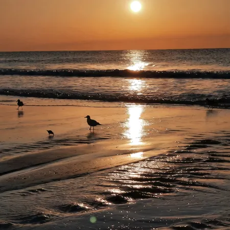 Almost Heaven OCEANFRONT B Toes In The Sand Directly on BEACH Pets OK