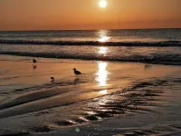 Almost Heaven OCEANFRONT B Toes In The Sand Directly on BEACH Pets OK
