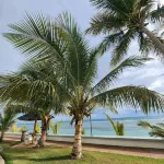 Beachfront apartment @ Juan Dolio