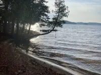 Lake side cottage w- sand beach. 13 acres-forest, steams & waterfalls to explore