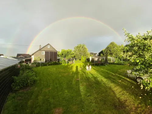 Chalet in the orchard and play garden - Homestays