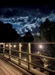 Private/Cozy 2 bedroom mountain cabin Serenity now - 3-Star