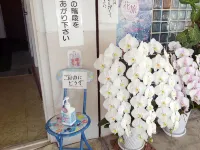Minshuku Minami Hotels near Aoshima Island
