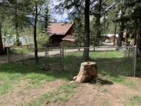 Croll Cabins-Armstrong Library- #5 at Vallecito Lake, Private Lawn, Great Views! - シャレー