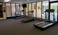 Chateau Resort & Conference Center - Fitnessstudio