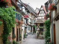 country holiday home - Eguisheim