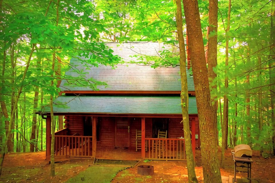 Photo 5 of 6