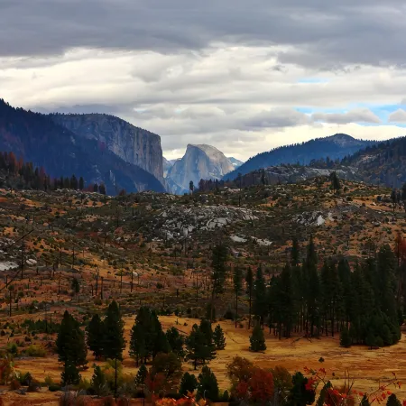 INSIDE YOSEMITE! 10 Minutes From Yosemite Valley. Summer and fall openings!