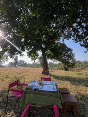 Home in the Jungle Pench - 2 estrellas