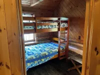Magical Log Cabin, Streams in Private Yard, 4 Bedrooms, Pet Friendly, WiFi - balcon