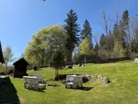 Villa in the Black Forest with indoor pool - Wifi