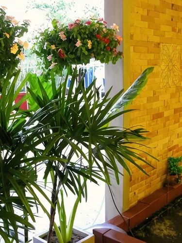 รูปภาพของคาซ่า ณรินยา แอท สุวรรณภูมิ แอร์พอร์ต