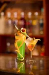 Wet Water Resort - Lakefront Retreat Near Colombo Airport - bar