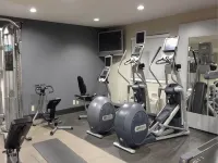 DoubleTree by Hilton Hotel Chicago Wood Dale - Elk Grove - Gym
