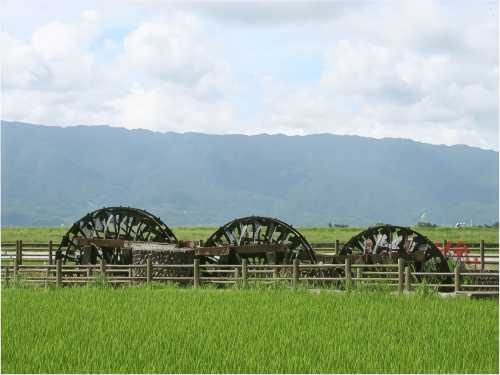泰泉閣