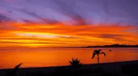 Villa De Cortez Condo!  Beachfront, Sunrises, Fishing and Pickleball await! - ビーチサイド