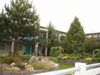 Bayside Motor Inn - Wifi