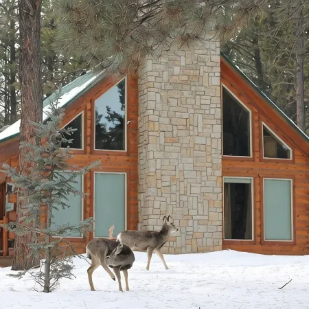 Angel Fire Retreat Cabin