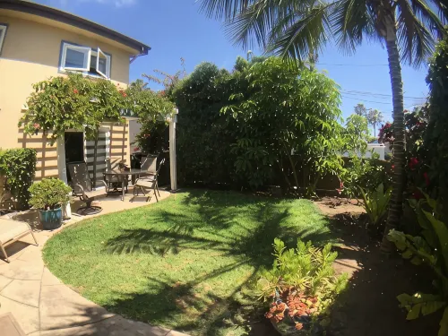 2-Blocks to Moonlight Beach, Private Yard, AC,  Bikes, over 300 5-Star Reviews - Homestays