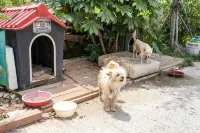 Tongyeong Slobbie Guest House - Pensions