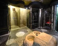Hotel Żubrówka Spa & Wellness - spa