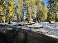 Solitude in the Cedars, Spacious Mountain Home - Alphydda