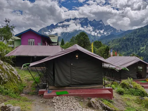 Ourguest Camp Lachung - 3-Star