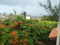 Pousada 7 Mares - Scenic