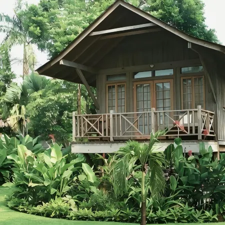 Negril Palms